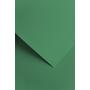 Papier wizytówkowy ozdobny GALERIA PAPIERU SAWANNA 220 g/ 20 ark. – zielony  204814