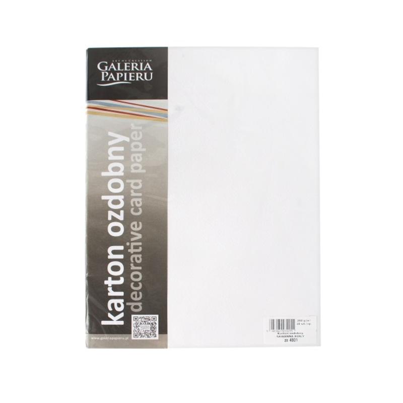 Papier wizytówkowy ozdobny GALERIA PAPIERU SAWANNA 200 g/ 20 ark. – biały 204801