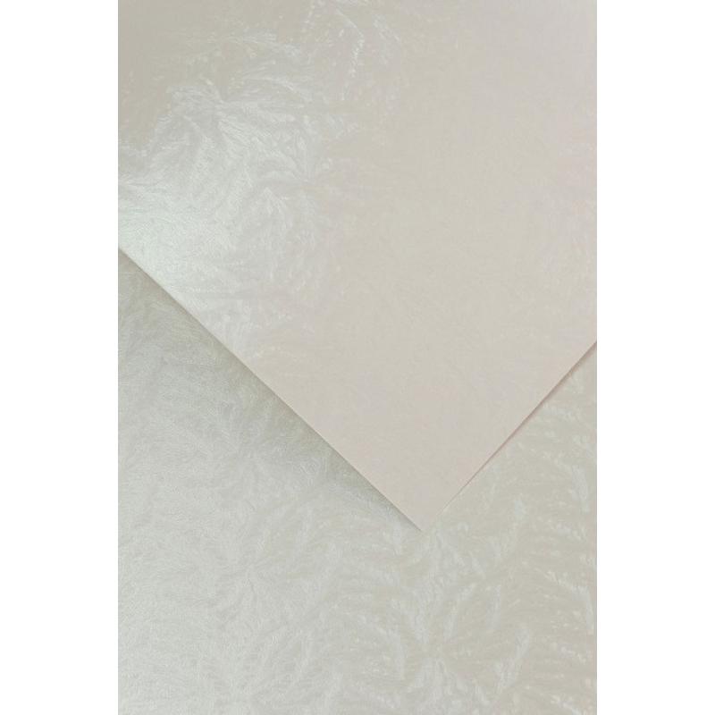 Papier wizytówkowy ozdobny GALERIA PAPIERU FROST 220g/20ark. Biały 202303