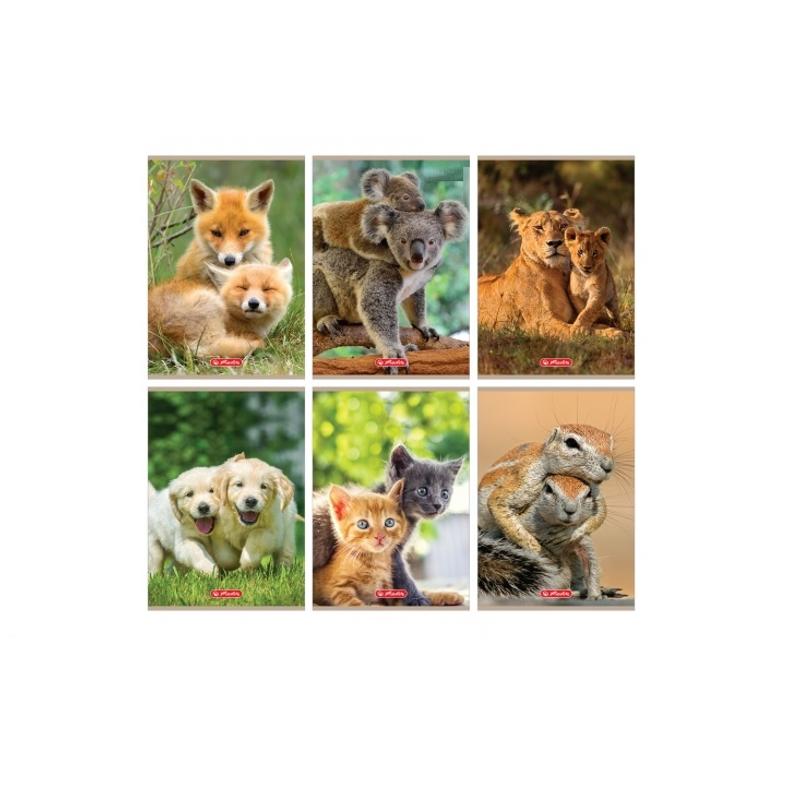 Zeszyt 16k  krata - HERLITZ