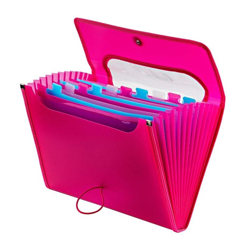 Teczka harmonijkowa  12  przegródkami  A4 Strigo VFile PP