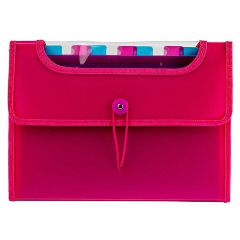 Teczka harmonijkowa  12  przegródkami  A4 Strigo VFile PP