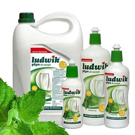 Płyn LUDWIK do naczyń miętowy 5L