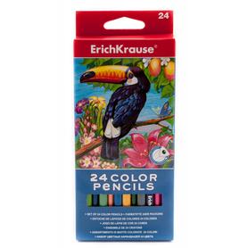 Kredki  ołówkowe 24 kolory ErichKrause® Color Pencils